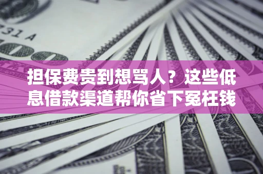 武汉担保费贵到想骂人？这些低息借款渠道帮你省下冤枉钱