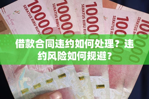 武汉借款合同违约如何处理？违约风险如何规避？