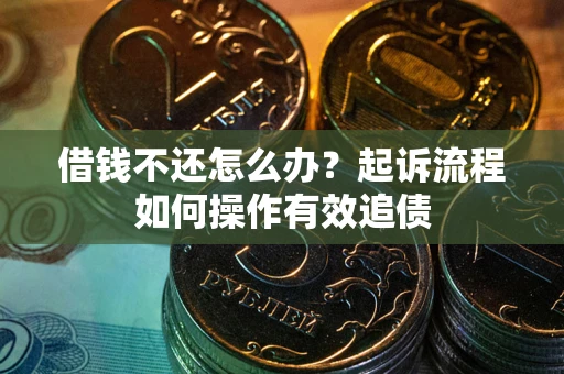 武汉借钱不还怎么办？起诉流程如何操作有效追债