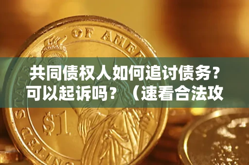 武汉共同债权人如何追讨债务？可以起诉吗？（速看合法攻略）
