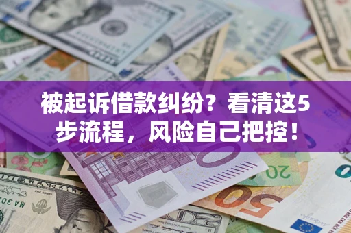 武汉被起诉借款纠纷？看清这5步流程，风险自己把控！