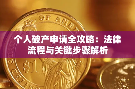 武汉个人破产申请全攻略：法律流程与关键步骤解析