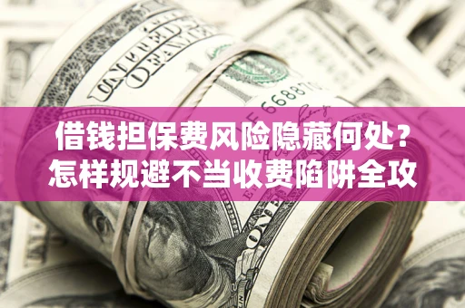 武汉借钱担保费风险隐藏何处？怎样规避不当收费陷阱全攻略！