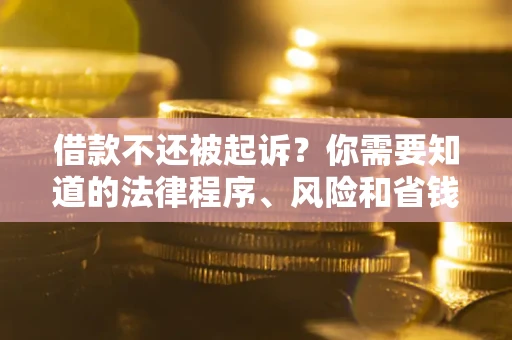 武汉借款不还被起诉？你需要知道的法律程序、风险和省钱技巧