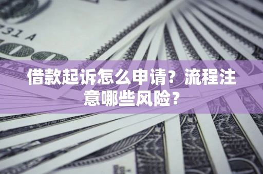 武汉借款起诉怎么申请？流程注意哪些风险？